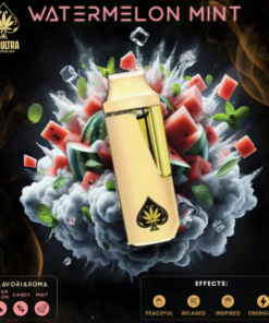 Ace Ultra Watermelon Mint